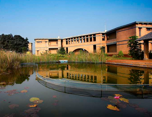 Gallery image 6